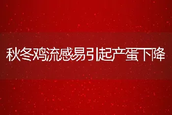 秋冬鸡流感易引起产蛋下降