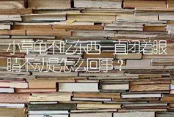 小草龟不吃东西一直闭着眼睛不动是怎么回事？