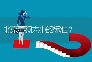 北京养狗大小的标准？