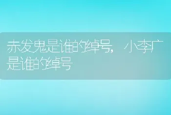 赤发鬼是谁的绰号，小李广是谁的绰号