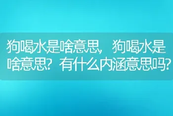 狗喝水是啥意思，狗喝水是啥意思？有什么内涵意思吗？