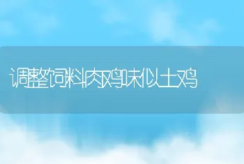 调整饲料肉鸡味似土鸡