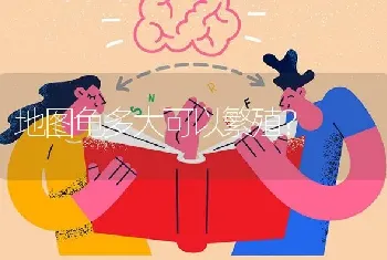 蓝白猫优缺点？