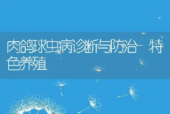 肉鸽球虫病诊断与防治-特色养殖