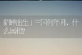 貂蝉出生于三国何年月，什么属相？