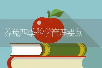 养兔四季科学管理要点