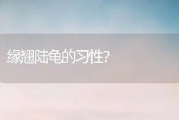 玄凤鹦鹉（鸡尾鹦鹉）有多少变种？