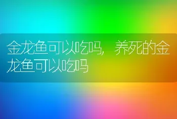 金龙鱼可以吃吗，养死的金龙鱼可以吃吗