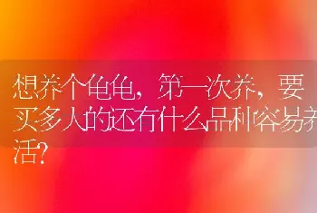 想养个龟龟，第一次养，要买多大的还有什么品种容易养活？