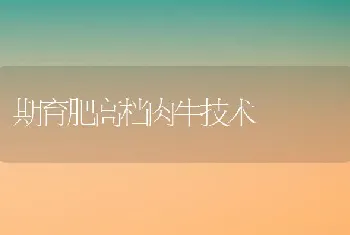 罗非鱼几种常见疾病防治技术