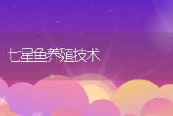 七星鱼养殖技术