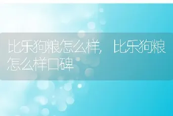 比乐狗粮怎么样，比乐狗粮怎么样口碑