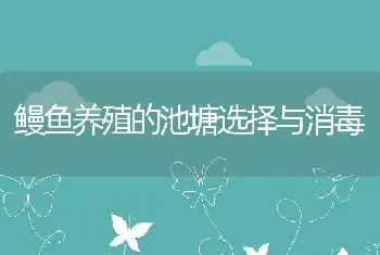 鳗鱼养殖的池塘选择与消毒