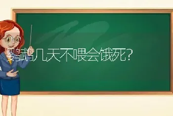 鹦鹉几天不喂会饿死？