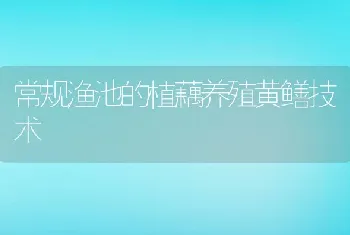 常规渔池的植藕养殖黄鳝技术