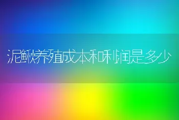 泥鳅养殖成本和利润是多少