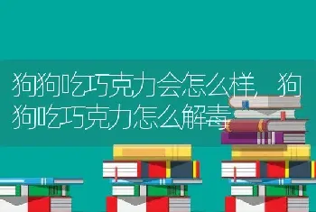 狗狗吃巧克力会怎么样，狗狗吃巧克力怎么解毒