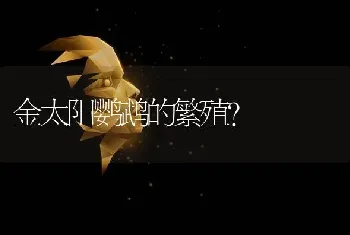 金太阳鹦鹉的繁殖？