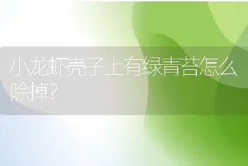 小龙虾壳子上有绿青苔怎么除掉？