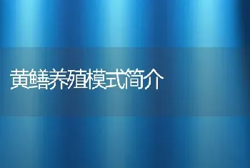 黄鳝养殖模式简介