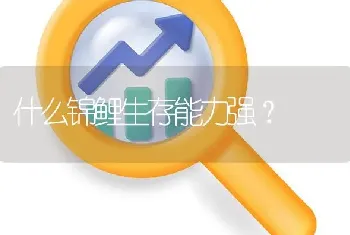 什么锦鲤生存能力强？