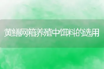 黄鳝网箱养殖中饵料的选用