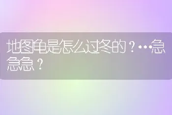 地图龟是怎么过冬的？…急急急？