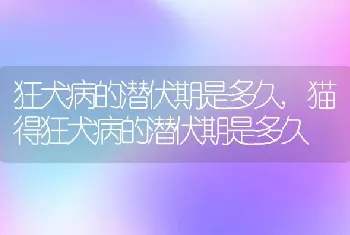 狂犬病的潜伏期是多久，猫得狂犬病的潜伏期是多久