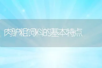 肉驴粗饲料的基本特点