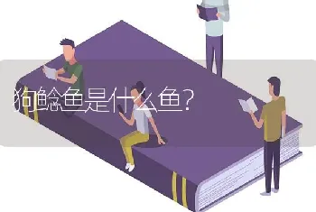 狗鲶鱼是什么鱼？