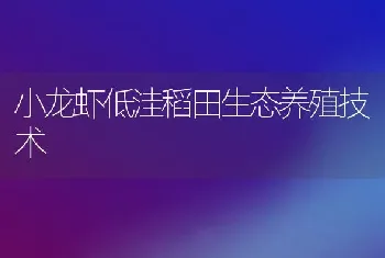 小龙虾低洼稻田生态养殖技术