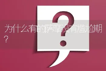 为什么有的萨摩没有尴尬期？