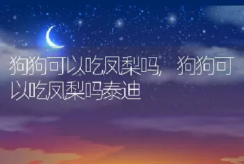 狗狗可以吃凤梨吗，狗狗可以吃凤梨吗泰迪