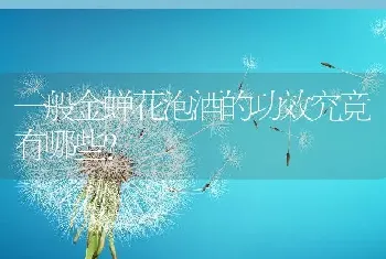 山东巨野常海东养甲鱼 “甲鱼养殖村”年赚800万