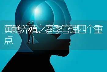 黄鳝养殖之春季管理四个重点