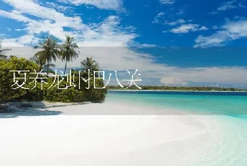 夏养龙虾把八关