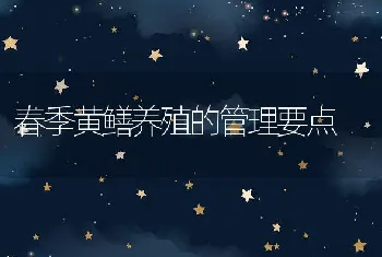 春季黄鳝养殖的管理要点