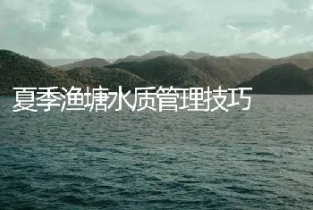 夏季渔塘水质管理技巧