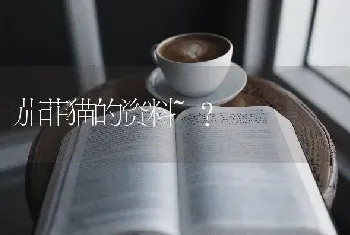 茄菲猫的资料~？