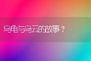 乌龟与乌云的故事？