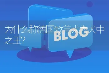 为什么称德国牧羊犬为犬中之王？