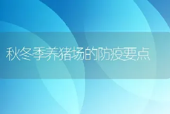 秋冬季养猪场的防疫要点