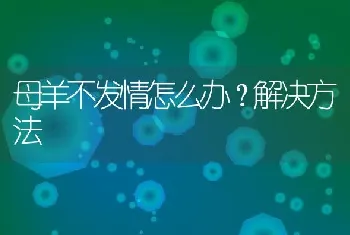 母羊不发情怎么办？解决方法