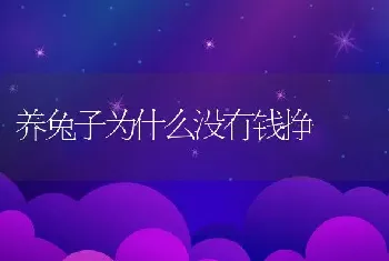 养兔子为什么没有钱挣