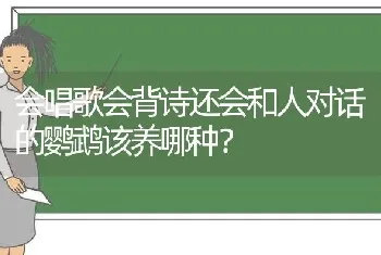 会唱歌会背诗还会和人对话的鹦鹉该养哪种？