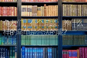 龟友们，有个问题：养什么样的乌龟是合法的呢？