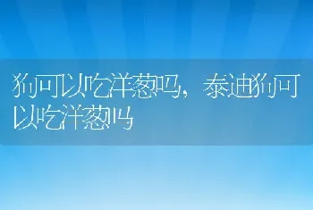 狗可以吃洋葱吗，泰迪狗可以吃洋葱吗