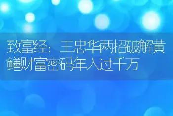 致富经：王忠华两招破解黄鳝财富密码年入过千万