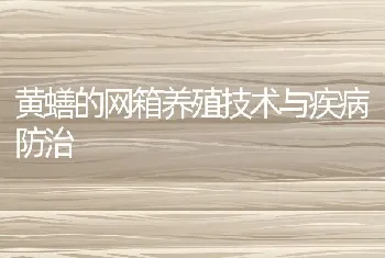 黄蟮的网箱养殖技术与疾病防治