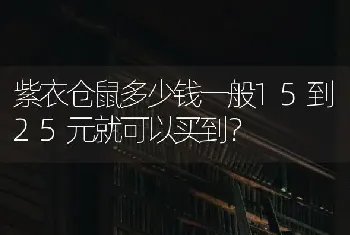 紫衣仓鼠多少钱一般15到25元就可以买到？